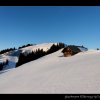 20080120_228